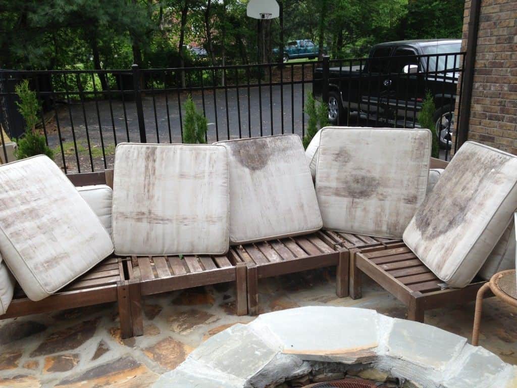 https://www.simplyspotless.com.au/wp-content/uploads/2022/09/clean-mould-off-outdoor-cushions.jpeg